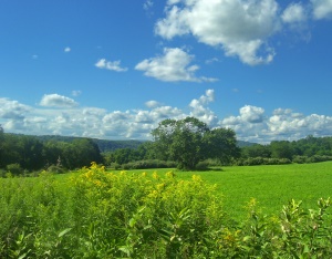 wandelroute in het groen | Appalachian Trail